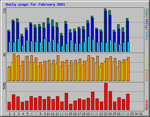 Daily usage for February 2021