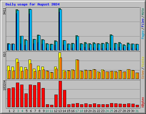 Daily usage for August 2024