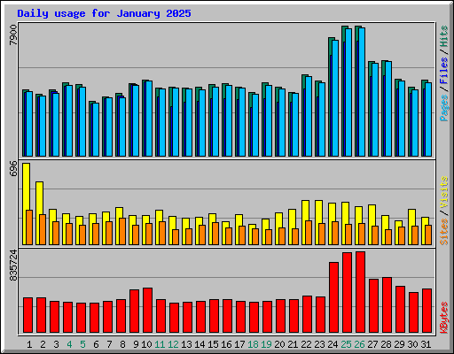 Daily usage for January 2025