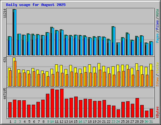Daily usage for August 2025