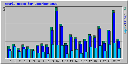 Hourly usage for December 2020