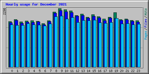 Hourly usage for December 2021