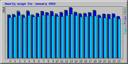 Hourly usage for January 2022