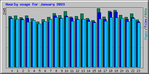 Hourly usage for January 2023