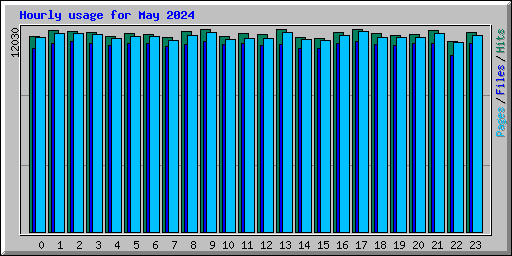 Hourly usage for May 2024