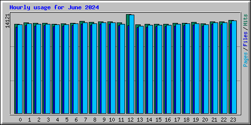 Hourly usage for June 2024