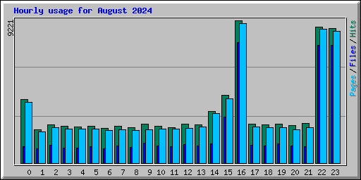 Hourly usage for August 2024