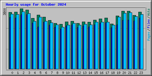 Hourly usage for October 2024