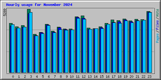 Hourly usage for November 2024