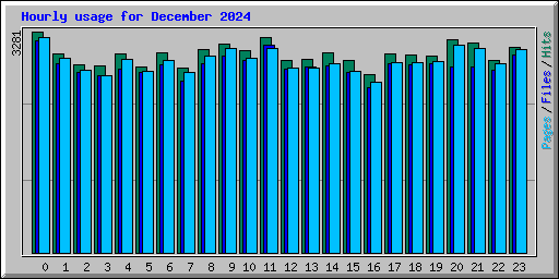 Hourly usage for December 2024