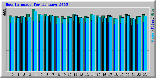 Hourly usage for January 2025