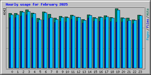 Hourly usage for February 2025