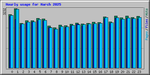 Hourly usage for March 2025