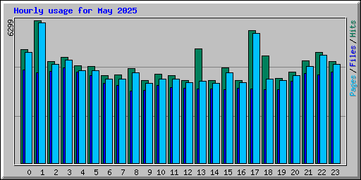 Hourly usage for May 2025