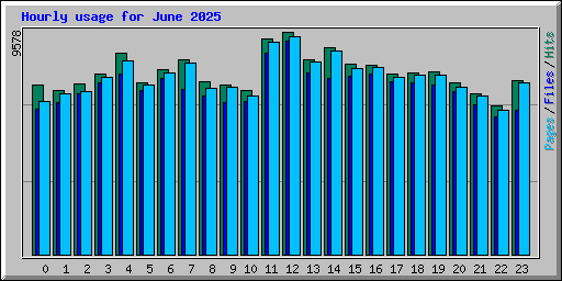 Hourly usage for June 2025