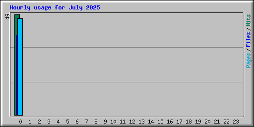 Hourly usage for July 2025