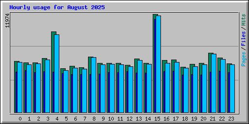 Hourly usage for August 2025