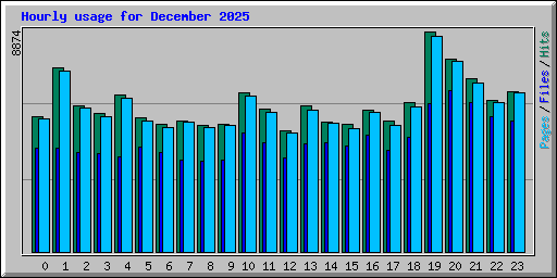 Hourly usage for December 2025
