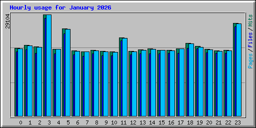 Hourly usage for January 2026